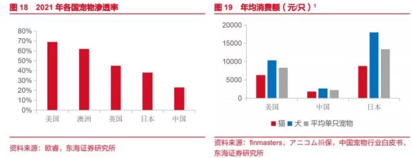 日韩精选国产：最新动态揭示了这些产品在市场上的表现与消费者反馈，值得关注的趋势和未来发展方向