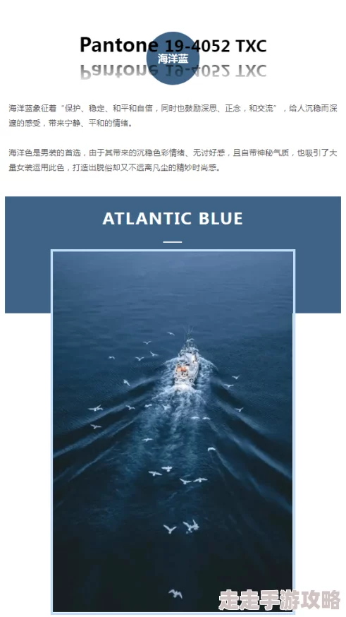 欧美一区精品：最新潮流趋势与独特设计，带你领略时尚界的前沿风采与奢华体验