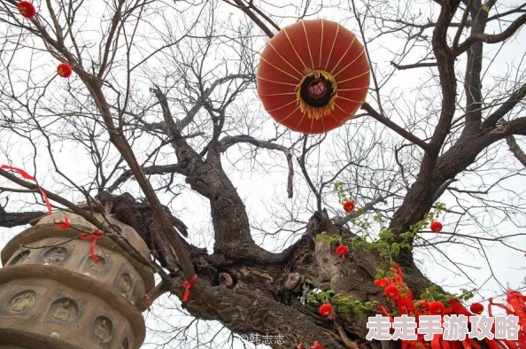 丫鬟翠翠和员外父子的小说叫什么？真相竟令人震惊，情节反转引发全网热议！