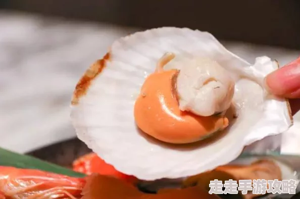 打开扇贝就可以吃火腿肠脆柿子，带你体验海鲜与美味零食的完美结合！