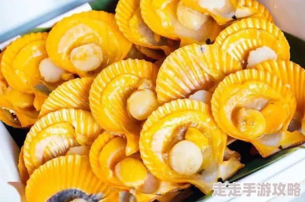 打开扇贝就可以吃火腿肠脆柿子，带你体验海鲜与美味零食的完美结合！