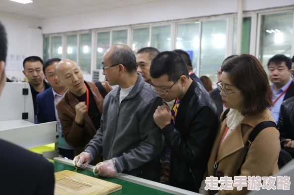 欧美理伦视频：最新动态揭示了这一领域的趋势与发展，吸引了众多观众的关注与讨论