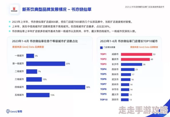 麻豆：最新动态曝光，行业内外人士热议其未来发展方向与市场潜力，引发广泛关注与讨论