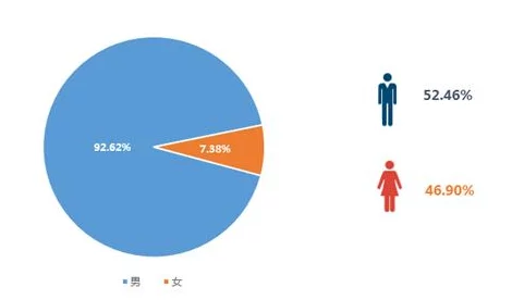 男女上下拱污：揭示社会性别不平等现象的深层次原因与影响分析