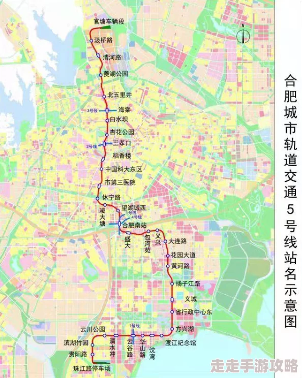 日本三级网站在线线观看：最新动态与用户体验分享，畅享多样化的影视内容和便捷的观看方式