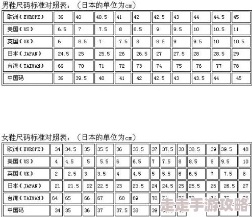 日本尺码专线欧洲B1B2升级：全新设计与功能提升，助力用户体验更上一层楼！