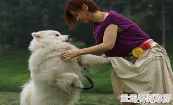老女人BBBBwwww，惊现神秘力量引发全城热议，背后真相令人震惊！