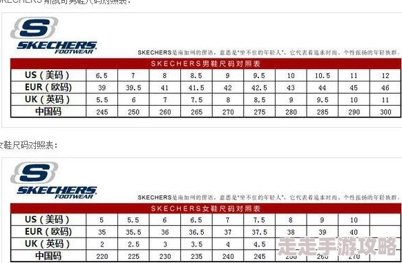 欧洲尺码与亚洲尺码的对比知乎：你绝对想不到的差异，购物时再也不怕买错！