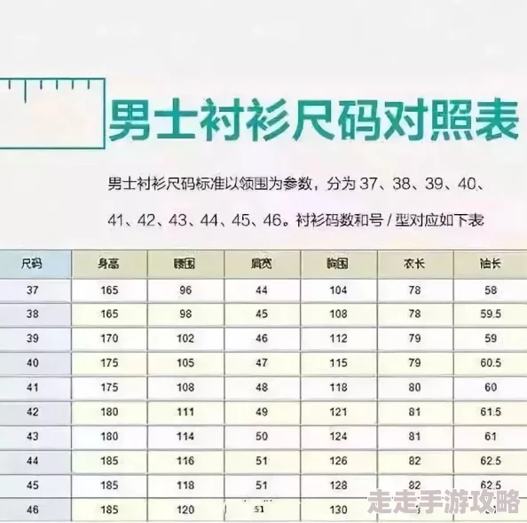 欧洲尺码与亚洲尺码的对比知乎：你绝对想不到的差异，购物时再也不怕买错！
