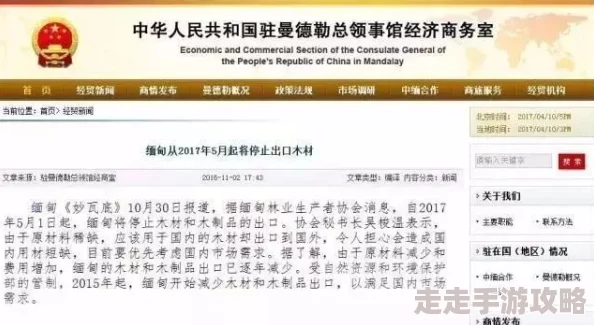 缅甸十大黄禁免费看，震撼上线！不容错过的精彩内容等你来发现！