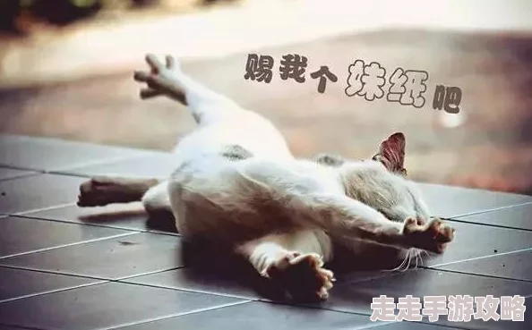 美国人乂乂乂：惊现神秘现象，数千民众目击奇异光点引发热议与恐慌！