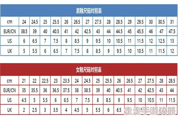欧洲码4码是多大？揭开鞋码背后的神秘面纱，了解你的完美尺码！