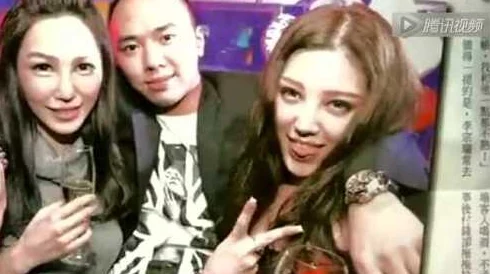 李宗瑞贝贝一夜2次在线播放：最新动态曝光，网友热议事件背后的真相与影响