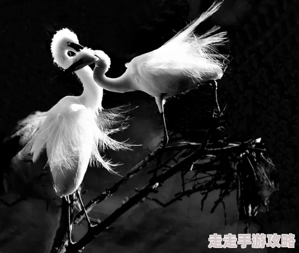 孩 交videos乱叫：最新动态曝光，网友热议背后故事与影响，引发广泛关注与讨论！