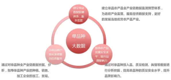 国精产品一品二品国精品：新动态发布，推动高品质产品创新与市场拓展，助力经济发展新阶段