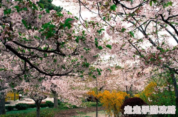 时光旅行者新手必看：开局玩法全攻略与快速上手技巧指南
