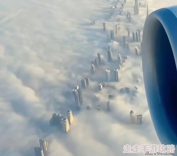 震撼！视频曝光，揭示了令人难以置信的真相，引发全网热议与讨论！