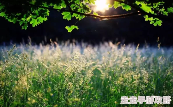 探索秋霞福利视频的魅力:让你在秋季感受视觉与心灵的双重享受 探索秋霞福利视频的魅力:让你在秋季感受视觉与心灵的双重享受