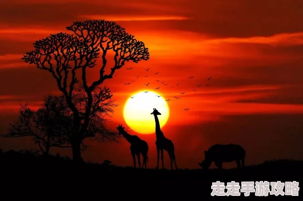 探索秋霞福利视频的魅力:让你在秋季感受视觉与心灵的双重享受 探索秋霞福利视频的魅力:让你在秋季感受视觉与心灵的双重享受