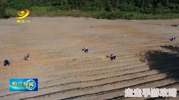 耕种女儿,这个话题引发了很多人的思考,家庭教育与责任感的重要性不容忽视 耕种女儿,这个话题引发了很多人的思考,家庭教育与责任感的重要性不容忽视