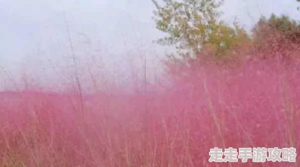 久久国产乱子伦免费精品,内容丰富多样,让人耳目一新,非常值得一看! 久久国产乱子伦免费精品,内容丰富多样,让人耳目一新,非常值得一看!