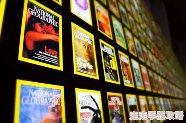 黄色在线网页，内容丰富多彩，但有些信息的真实性值得怀疑