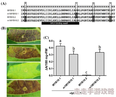 免费的黄色大片：最新动态揭示了该领域的变化与发展，吸引了越来越多用户的关注与参与