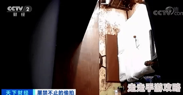 国产真实伦偷精品惊爆内幕曝光令人震惊的背后故事揭示了不为人知的行业秘密和潜规则引发广泛关注与讨论