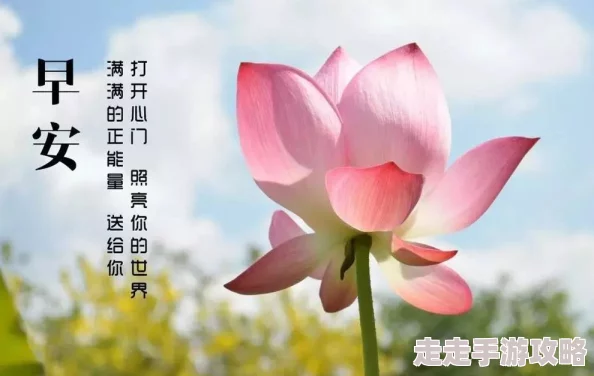 麻豆国产13p通过积极向上的内容传播正能量，鼓励年轻人追求梦想，勇敢面对生活中的挑战，共同创造美好未来