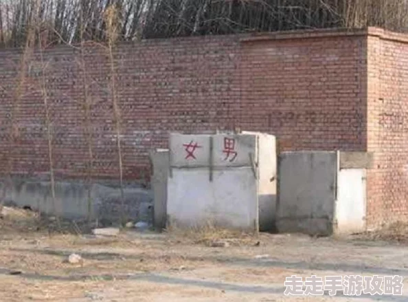 野外极度羞耻露出调教假死寻凶 野外极度羞耻露出调教假死寻凶