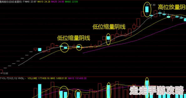爆料！文明6免费领袖中，哪位隐藏玩法最吸引人的深度解析