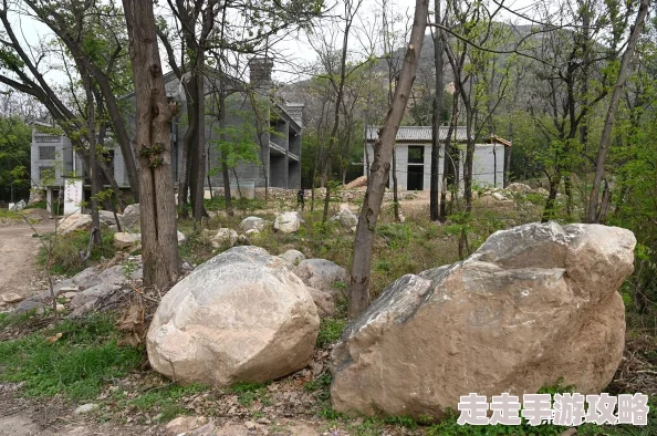 《怪物猎人 荒野》改名教程：网友热议，轻松掌握游戏角色命名更改技巧