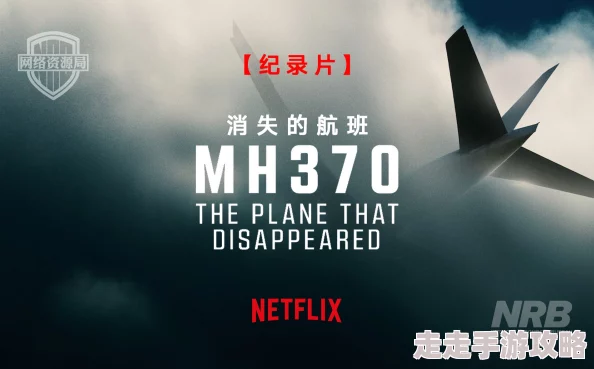 麻豆19禁国产青草精品MH370：消失的航班