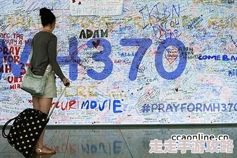 麻豆19禁国产青草精品MH370：消失的航班