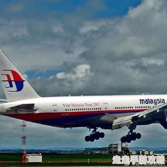麻豆19禁国产青草精品MH370：消失的航班