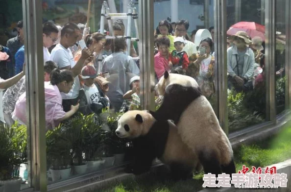 毛片人与动物近日在某地举办了一场别开生面的宠物时装秀,吸引了众多爱宠人士的关注 毛片人与动物近日在某地举办了一场别开生面的宠物时装秀,吸引了众多爱宠人士的关注