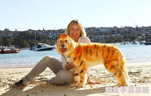 毛片人与动物近日在某地举办了一场别开生面的宠物时装秀,吸引了众多爱宠人士的关注 毛片人与动物近日在某地举办了一场别开生面的宠物时装秀,吸引了众多爱宠人士的关注