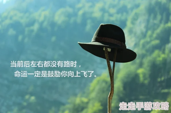 好叼艹让我们一起努力追求梦想，积极向上，创造美好未来，勇敢面对挑战，拥抱每一个新机会