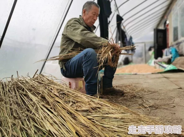 操鸡小说最新章节更新,精彩剧情引发热议,读者纷纷讨论角色发展与情节走向 操鸡小说最新章节更新,精彩剧情引发热议,读者纷纷讨论角色发展与情节走向