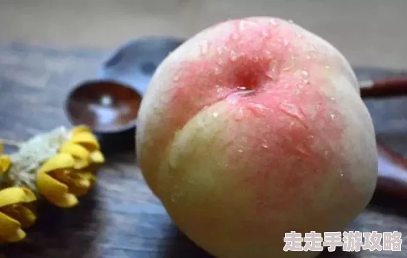 一区二区三区水蜜桃现已更新至夏季版本新增多种口味等你来品尝 一区二区三区水蜜桃现已更新至夏季版本新增多种口味等你来品尝