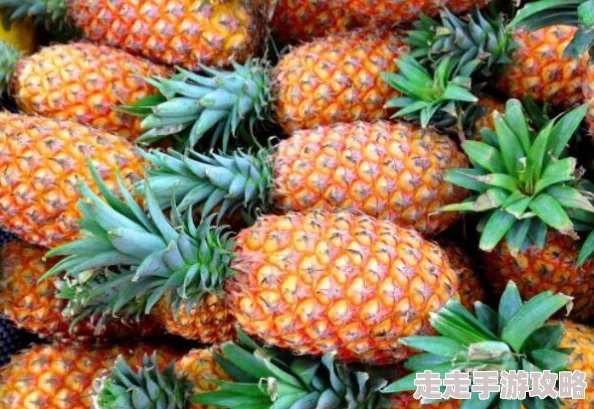 大菠萝福利网站网站维护升级预计将于三天后完成