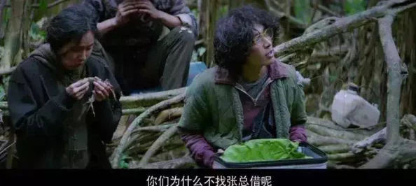 逃出缅北唐之风网友叹其经历惊险曲折终获自由令人唏嘘
